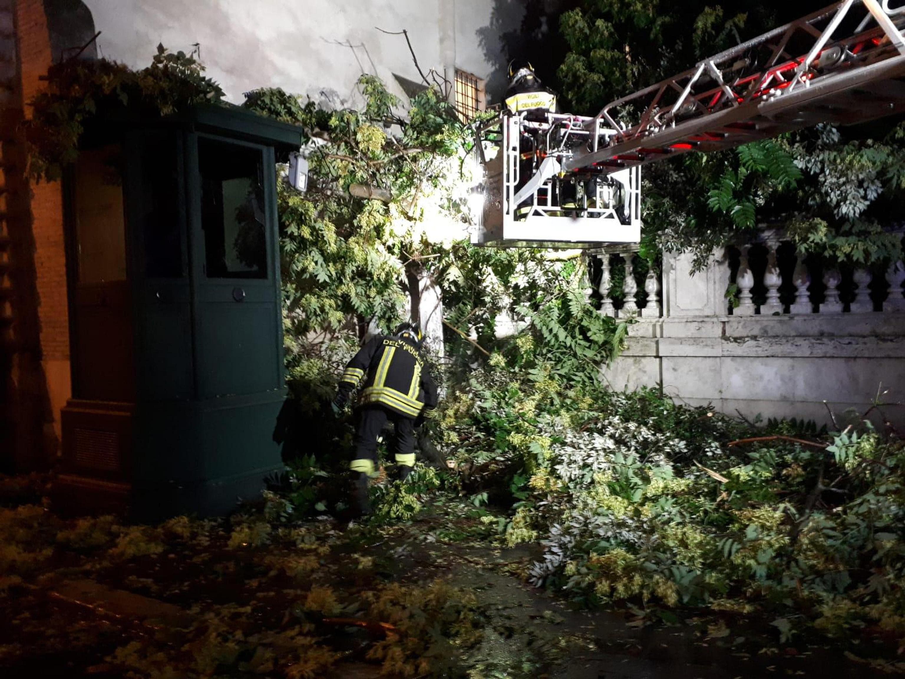 Albero su garitta del Quirinale a Roma causa pioggia