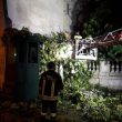 Maltempo Roma, albero cade su garitta del Quirinale: carabiniere illeso FOTO