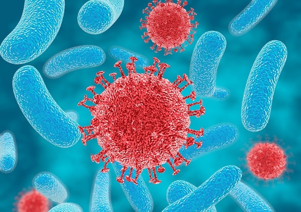 Batterio resistente agli antibiotici alle Canarie, già 13 turisti contagiati. Rischio epidemia in tutta Europa