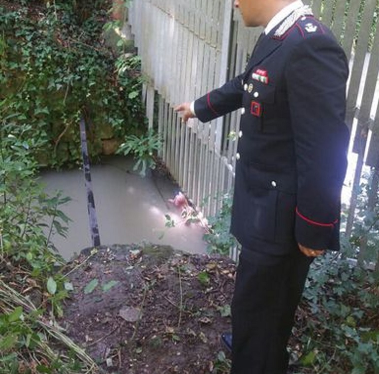 Ronchi (Verona), trovato cadavere in un corso d'acqua. E' del ragazzo olandese scomparso giovedì (foto Ansa)
