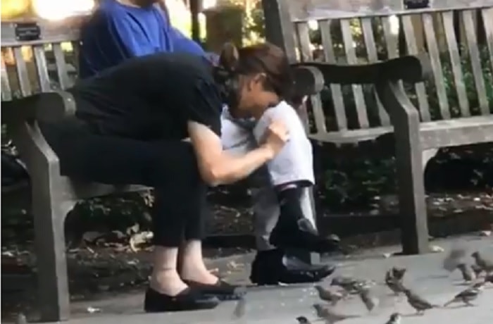 Philadelhia, donna cattura uccelli