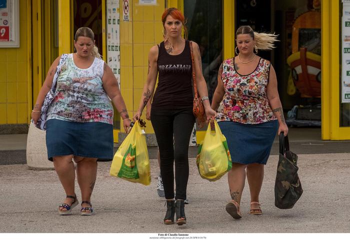 Gemelle come un gatto in tangenziale