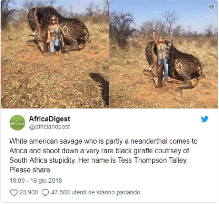 Sud Africa giraffa morta