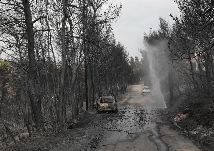 Incendi in Grecia, pista dolosa. Testimone: "Impossibile siano divampati tutti insieme per una casualità"