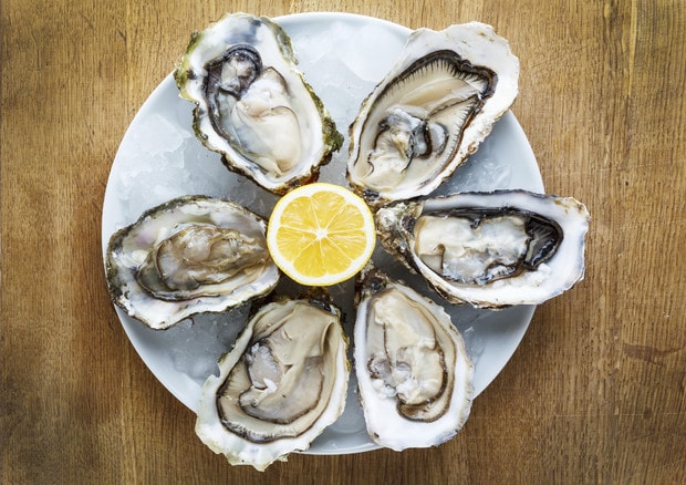 Usa, uomo muore dopo aver mangiato ostriche