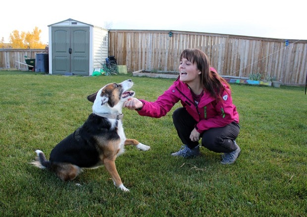 "Voucher per dog e cat sitter": la proposta Aidaa per chi si prende cura di cani e gatti