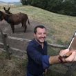 Salvini vicino ai cavalli