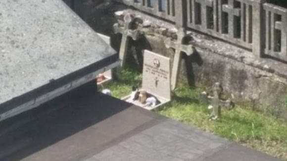 Teresina, la gatta che si acciambella sulla tomba della proprietaria