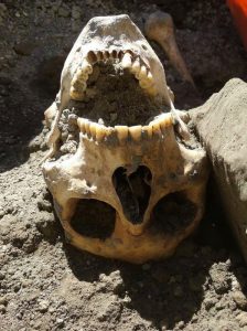 Pompei, trovata testa ultimo fuggiasco2