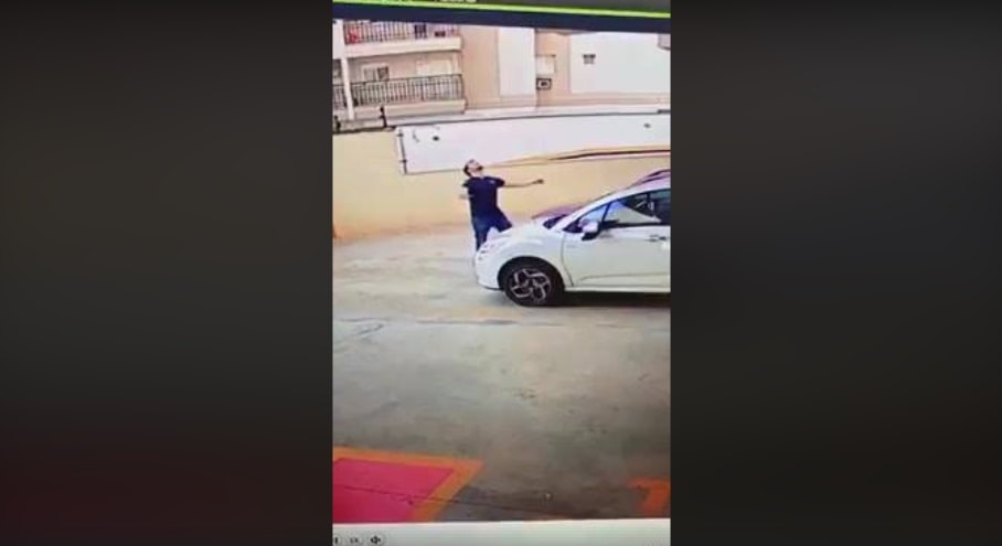 Cane cade nono piano