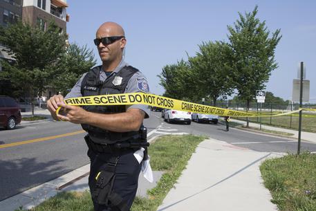 Usa, uomo armato al campus dell'Università di Washington
