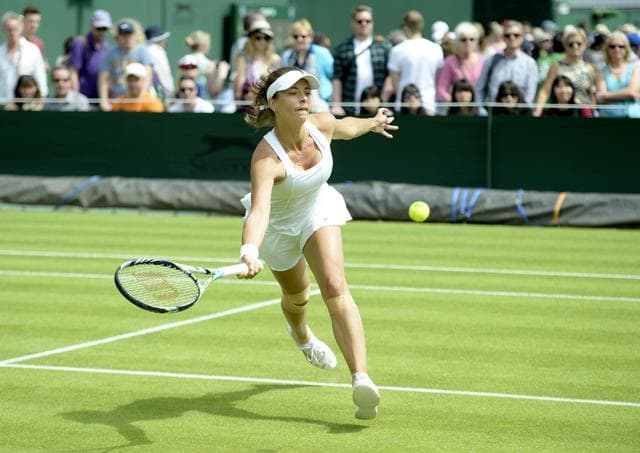 Wimbledon invasa dalle formiche volanti: sono i giorni dei "voli nuziali"