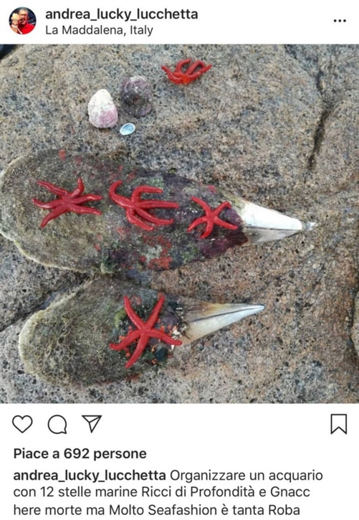 Andrea Lucchetta a La Maddalena: critiche per la foto con nacchere e stelle marine