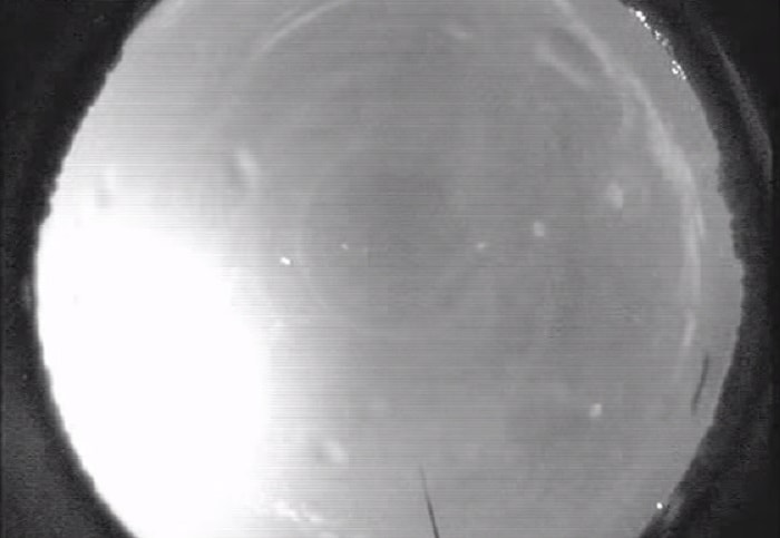 Asteroide sull'Alabama