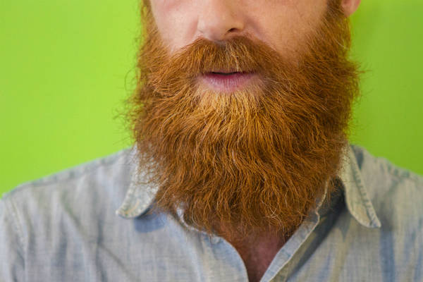 Barba peggio del pelo dei cani: ci sono più batteri nascosti