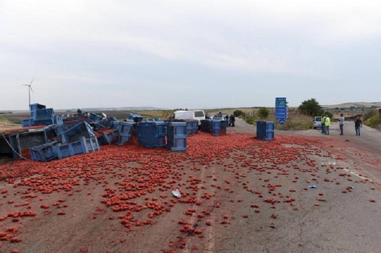 Foggia, scontro Tir-furgone. Avevano appena finito di lavorare nei campi i quattro braccianti morti (foto Ansa)
