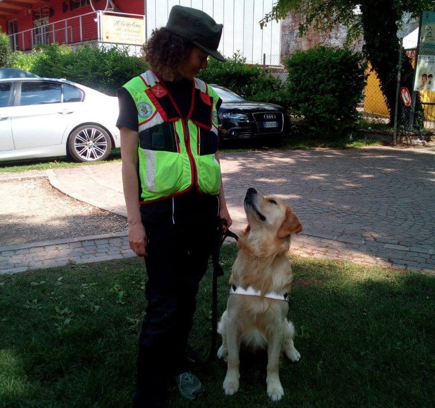 Buddy, cane da soccorso degli alpini, avvelenato nel bosco "da chi forse un giorno avrà bisogno di lui"