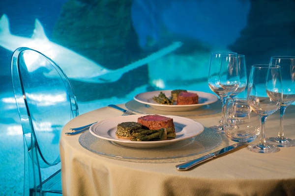 Cene ricche agli appuntamenti, poi scappava senza pagare il conto