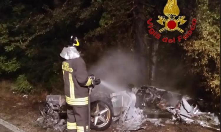 Ferrari contro cinghiale
