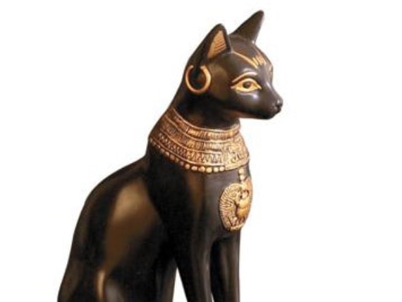 Gatti e gattini sul web: da Maometto ai social network