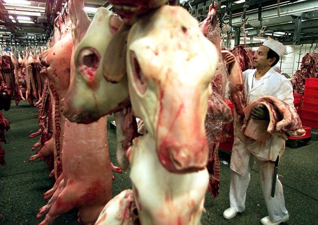 Festa del Sacrificio islamica