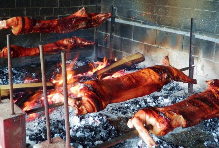 Sardegna. Maialino allevato in casa, contro divieto Regione petizione su Change.org