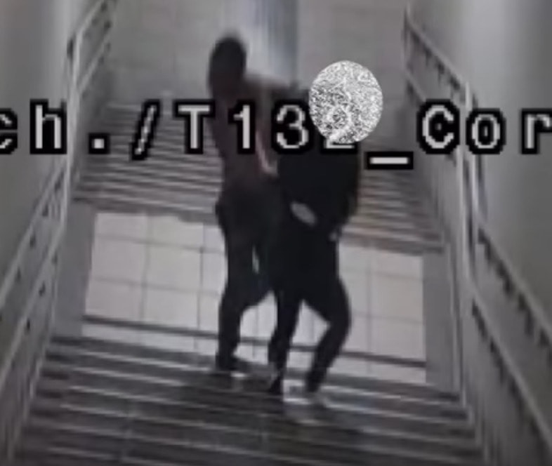 Milano, tenta di violentare ragazza alla Stazione Garibaldi. Lei lo ferma con lo spray