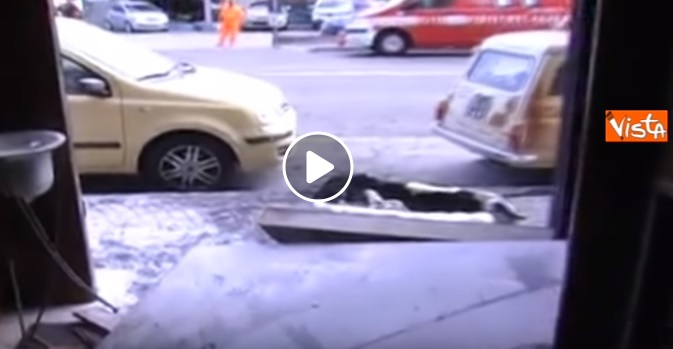 incendio bologna randagio