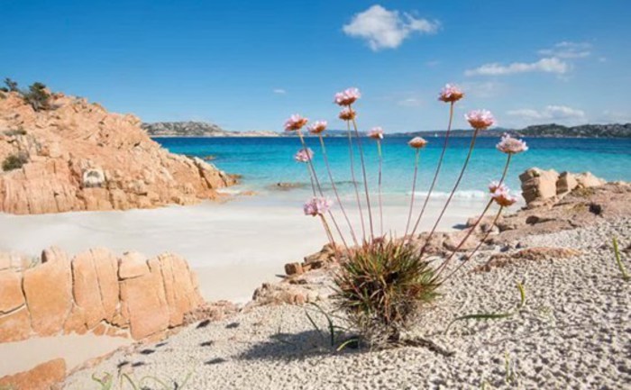 Sardegna, il post su Facebook ai turisti critici diventa virale