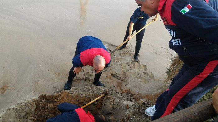 San Rossore (Pisa): teschio ritrovato in spiaggia con vertebre attaccate. Dopo il piede mozzato...