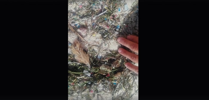 Tunisia, plastica spiagge