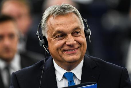 orban m5s