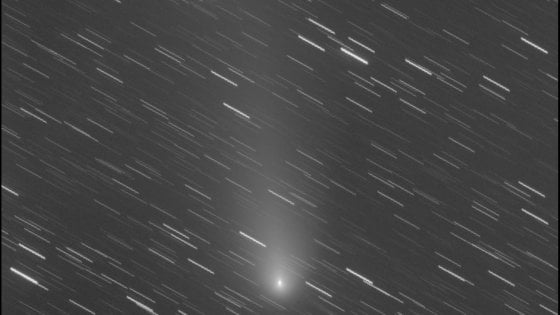 Cometa verde attraversa il cielo: non passava così vicino dal 1946