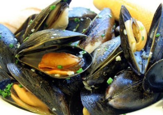 Cozze vive contaminate da Escherichia coli: maxi-richiamo in tutta Italia