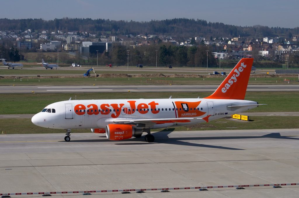 birdstrike easyjet