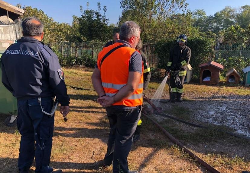 Rho (Milano), incendio al gattile: 80 gatti morti carbonizzati nelle gabbie
