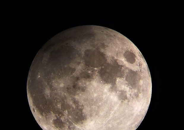 Luna, il primo viaggio privato di Space X: miliardario giapponese ha comprato il biglietto