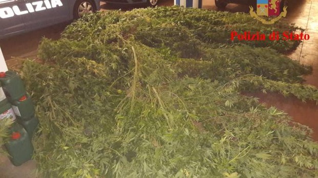 Marijuana Porto Reccanati