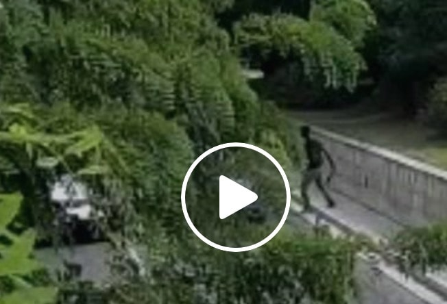 Matera, immigrato distrugge il palco di Max Gazzè e aggredisce i poliziotti