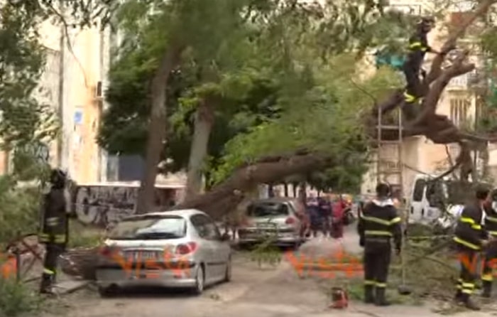 Napoli, albero si abbatte su auto in sosta per il forte vento