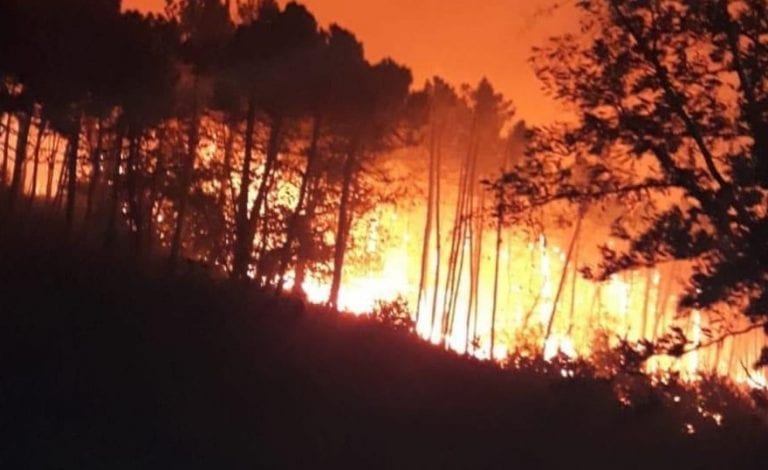 Calci (Pisa), incendio doloso sul monte Serra: centinaia di sfollati, i pompieri rischiano la vita
