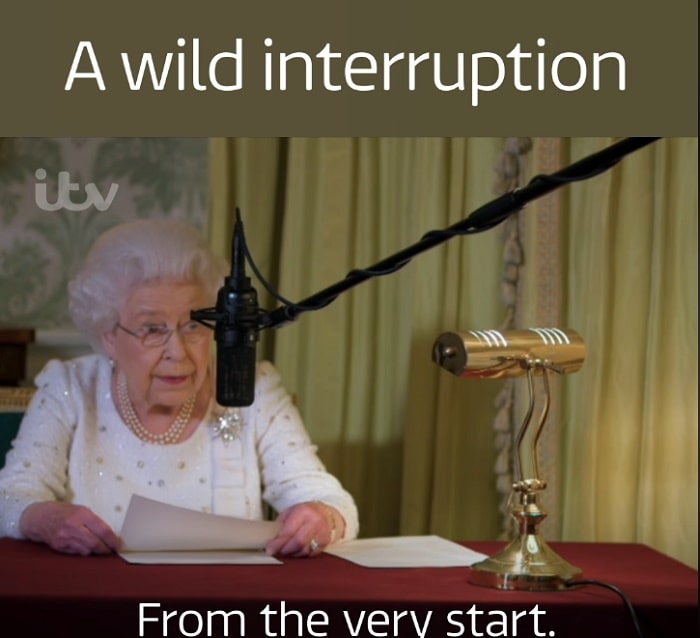 regina Elisabetta fonico