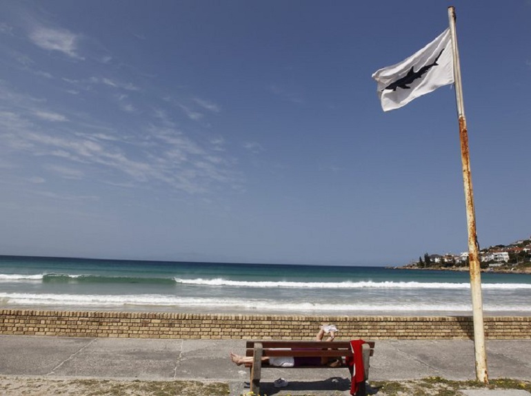 Stati Uniti, squalo attacca e uccide giovane surfer al largo di Cape Cod (foto Ansa)