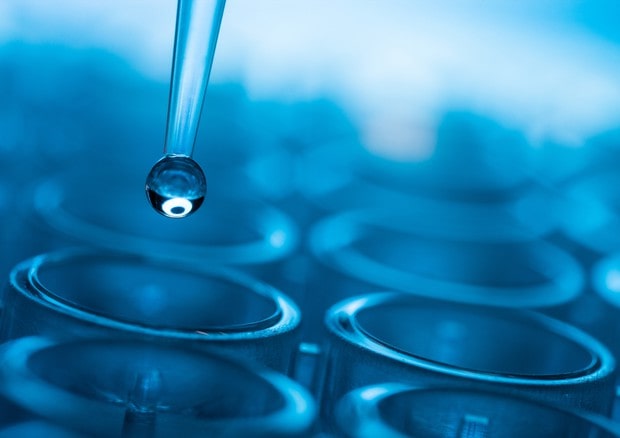 Test prenatali, basterà un prelievo del sangue: la sperimentazione al Sant'Anna di Torino