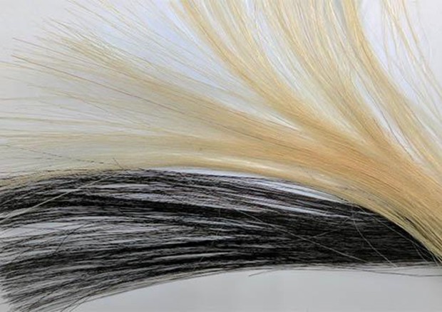 Tinta capelli, allarme cancro: maglio non superare le sei volte all'anno