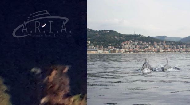 Ufo in Liguria: oggetto volante non identificato ad Albenga (Savona)