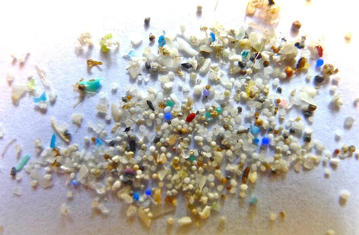 Microplastiche