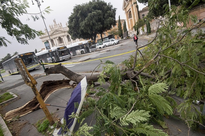 Allerta meteo Roma, decine di alberi caduti1