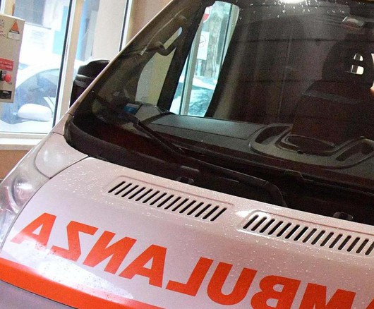 Livorno, gatto della vicina la ferisce alla gamba: donna di 88 muore dissanguata