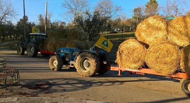 Foggia, operaio muore travolto da una balla di fieno (foto Ansa)